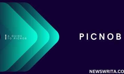 Picnob: Revolutionizing Instagram Experience